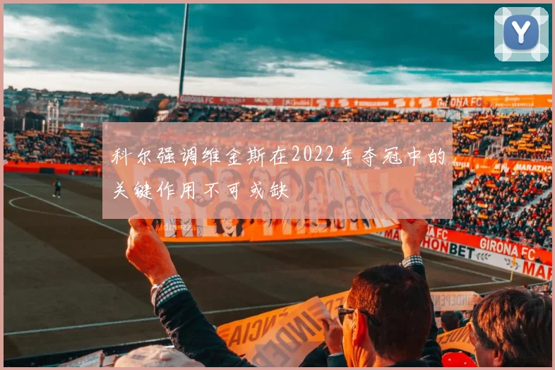 科尔强调维金斯在2022年夺冠中的关键作用不可或缺